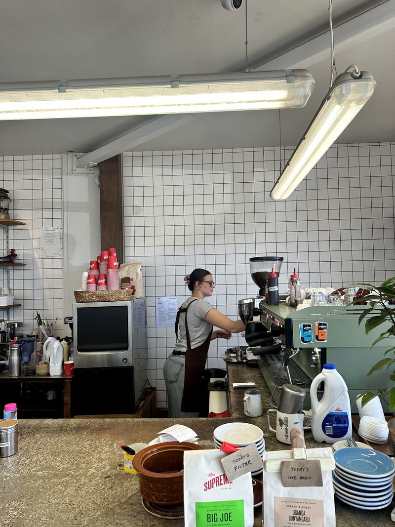 Gentle Giant Cafe  in Waltham — photo 7