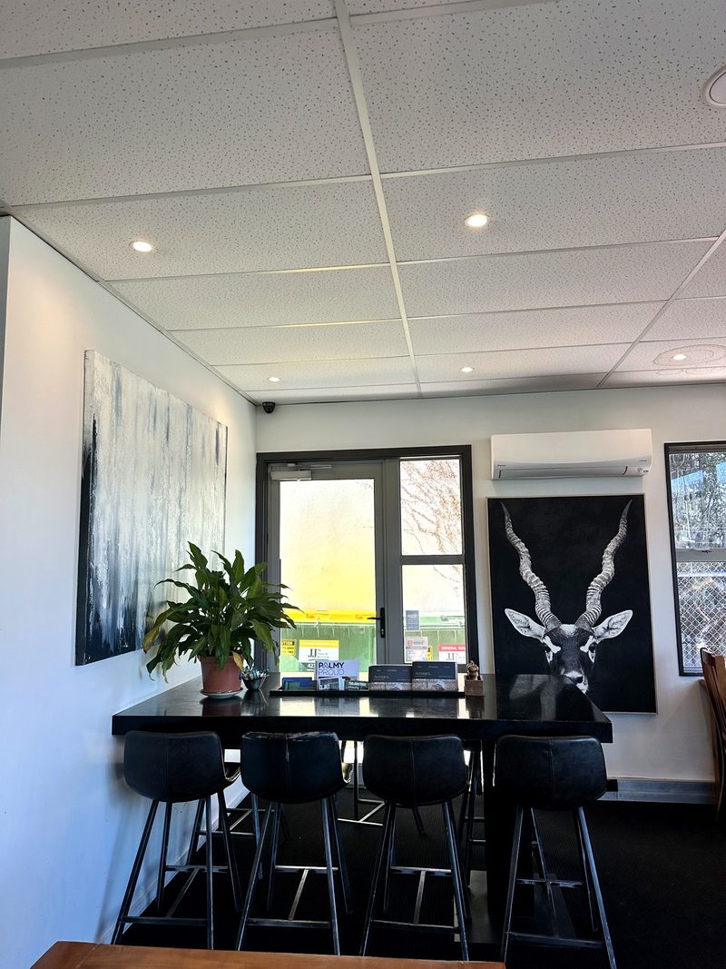 Insitu Cafe in Hillsborough — photo 4